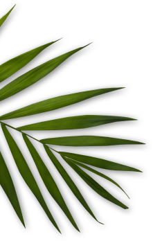 Décoration feuillage